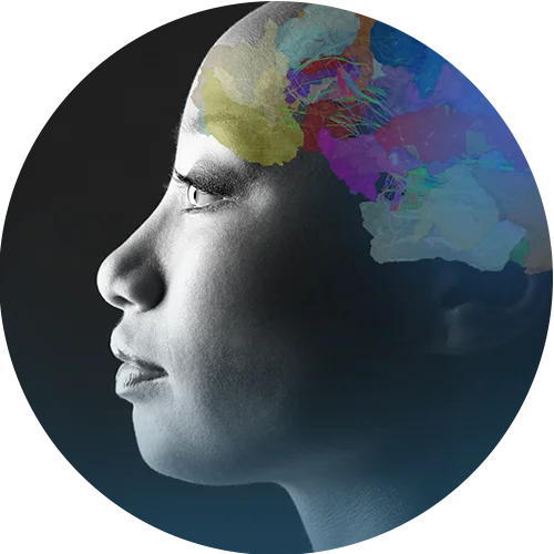 Side profile of a woman's head with a visual representation of the human mind split up via colors | Florida BrainLink Initiative