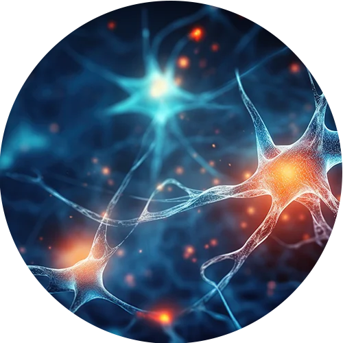 Graphical representation of brain neurons | Connectomics & TMS | Florida BrainLink Initiative